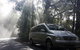 Shore Excursion-Healesville-Sanctuary-Private-Group- Max 7 PAX -Yarra Valley - thumb 2