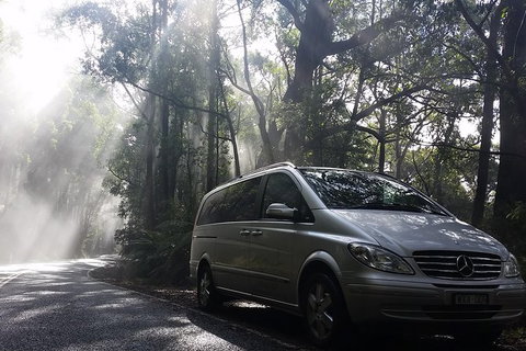 Shore Excursion-Healesville-Sanctuary-Private-Group- Max 7 PAX -Yarra Valley - Attractions Melbourne 2