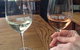 Shore Excursion-Healesville-Sanctuary-Private-Group- Max 7 PAX -Yarra Valley - thumb 8
