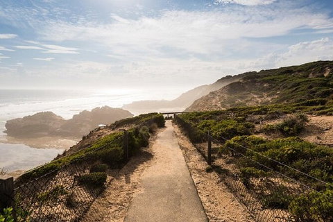Melbourne Super Saver: Great Ocean Road + Mornington Peninsula + Attraction Pass - Attractions Melbourne 7
