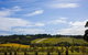 Melbourne Super Saver: Great Ocean Road + Mornington Peninsula + Attraction Pass - thumb 4