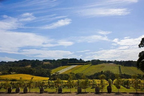 Melbourne Super Saver: Great Ocean Road + Mornington Peninsula + Attraction Pass - Attractions Melbourne 4