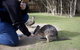 Small-Group Phillip Island Penguin Parade Day Tour From Melbourne - thumb 4