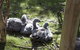 Small-Group Phillip Island Penguin Parade Day Tour From Melbourne - thumb 3