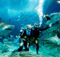 Shark Dive Experience at SEA LIFE Melbourne Aquarium - Attractions Melbourne