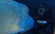 Shark Dive Experience At SEA LIFE Melbourne Aquarium - thumb 6