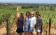 Mornington Peninsula Winery Bus Tour Including Lunch With A Glass Of Wine - thumb 1