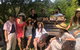 Mornington Peninsula Winery Bus Tour Including Lunch With A Glass Of Wine - thumb 5