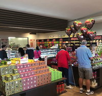 Yarra Valley Dandenong Ranges inc. lunch with wineplus morning teachocolate - Attractions Melbourne