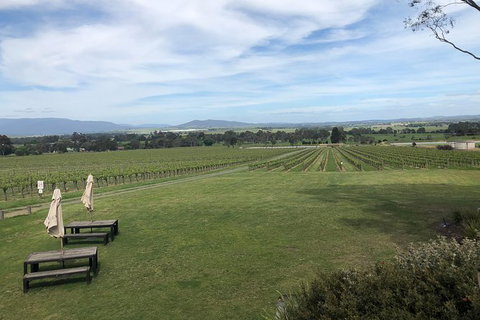 Small Public Mornington Peninsula Winery Tour Plus Lunch With A Glass Of Wine - Attractions Melbourne 0