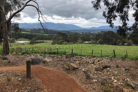 Yarra Valley Wine Tour Inc Lunch With A Glass Of Wine, Tastings And Chocolate - Attractions Melbourne 9