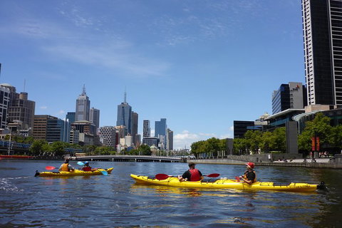 Melbourne City Afternoon Kayak Tour - Attractions Melbourne 5