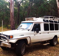 Private Tour Wombat State Forest Wildlife Safari 4WD Tour from Melbourne