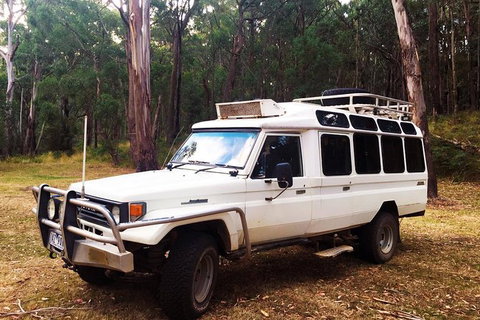 Private Tour: Wombat State Forest Wildlife Safari 4WD Tour From Melbourne - Attractions Melbourne 0
