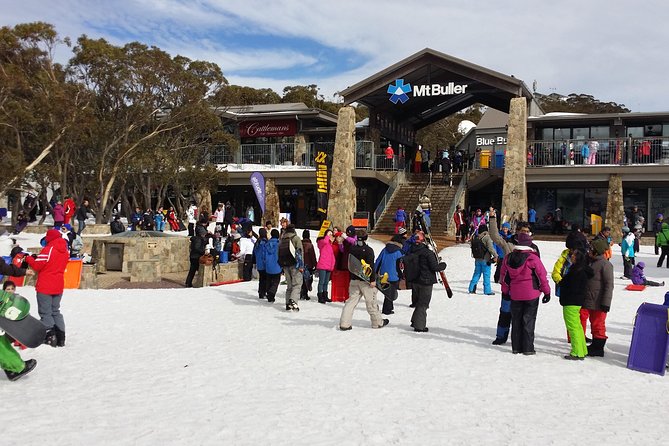 Mt Buller Day Trip from Melbourne Melbourne