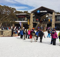 Mt Buller Day Trip from Melbourne - Attractions Melbourne