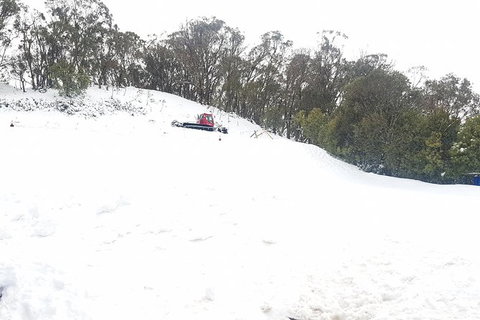Mt Buller Day Trip From Melbourne - Attractions Melbourne 4