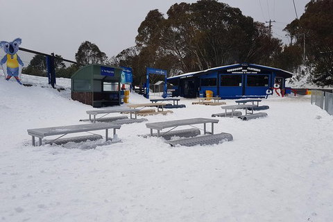 Mt Buller Day Trip From Melbourne - Attractions Melbourne 15