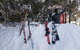 Mt Buller Day Trip From Melbourne - thumb 5