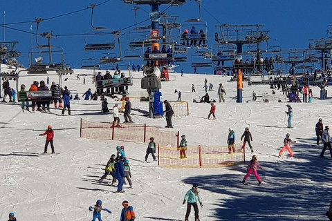 Mt Buller Day Trip From Melbourne - Attractions Melbourne 13