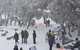 Mt Buller Day Trip From Melbourne - thumb 12