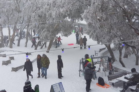Mt Buller Day Trip From Melbourne - Attractions Melbourne 12
