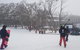 Mt Buller Day Trip From Melbourne - thumb 3