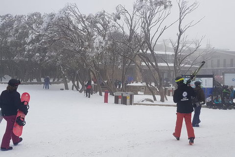 Mt Buller Day Trip From Melbourne - Attractions Melbourne 3