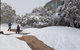 Mt Buller Day Trip From Melbourne - thumb 14