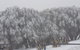 Mt Buller Day Trip From Melbourne - thumb 8
