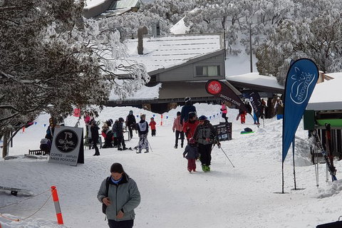 Mt Buller Day Trip From Melbourne - Attractions Melbourne 7