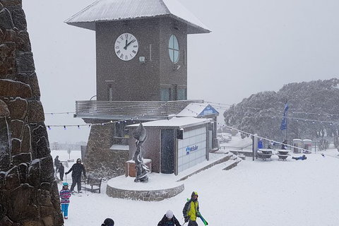 Mt Buller Day Trip From Melbourne - Attractions Melbourne 9