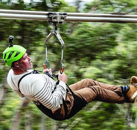Surf Coast and Livewire Tour - Attractions Melbourne