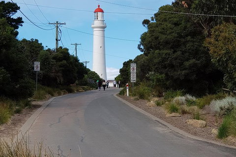 Surf Coast And Livewire Tour - Attractions Melbourne 11