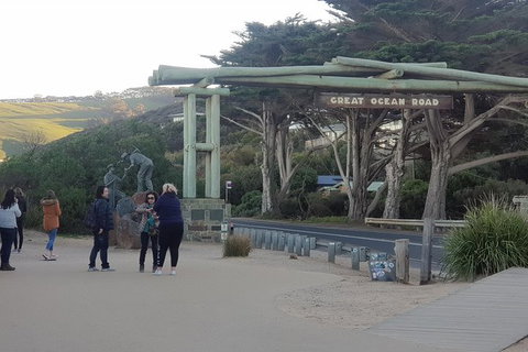 Surf Coast And Livewire Tour - Attractions Melbourne 4