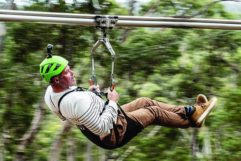 Surf Coast And Livewire Tour - Attractions Melbourne 2