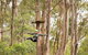 Surf Coast And Livewire Tour - thumb 10
