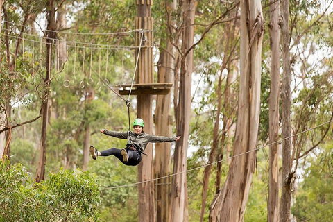 Surf Coast And Livewire Tour - Attractions Melbourne 10