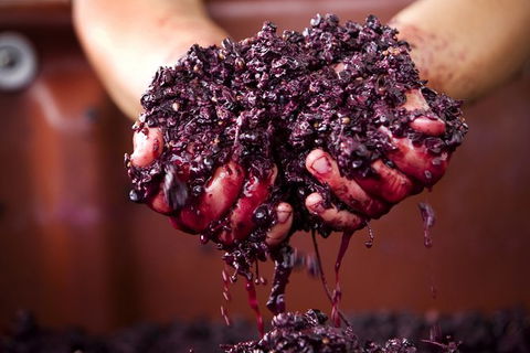 Yarra Valley Local Produce And Wine Tasting Tour - Attractions Melbourne 7