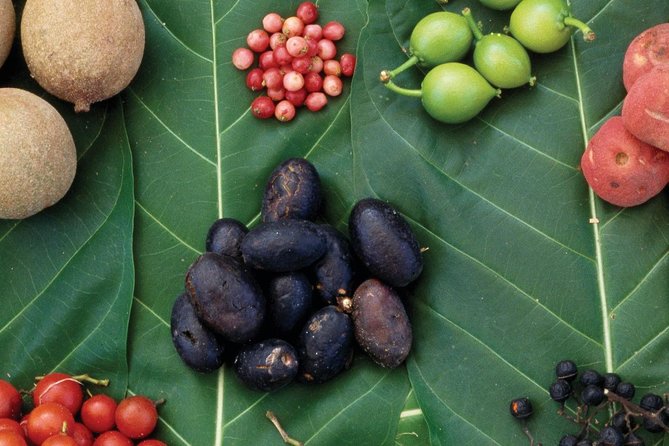 AUSTRALIAN NATIVE FOOD TOUR from Melbourne Melbourne