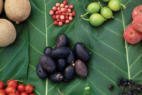 AUSTRALIAN NATIVE FOOD TOUR From Melbourne - Attractions Melbourne 0