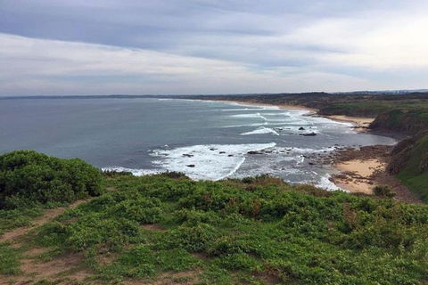 Half Day Phillip Island Woolamai Walking Tour - Attractions Melbourne 0