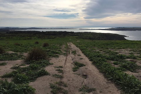 Half Day Phillip Island Woolamai Walking Tour - Attractions Melbourne 8