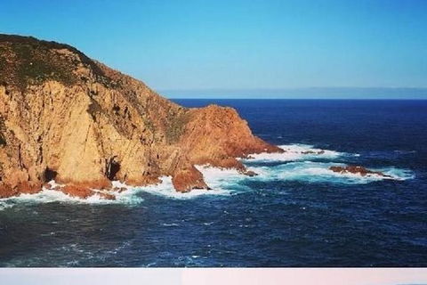 Half Day Phillip Island Woolamai Walking Tour - Attractions Melbourne 6