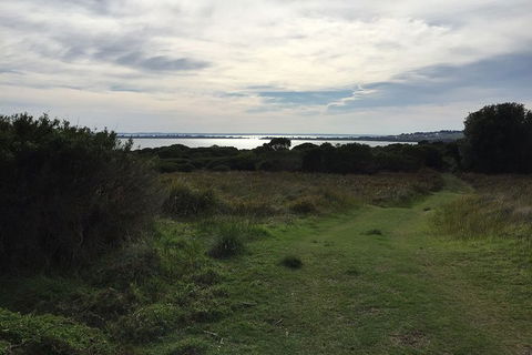 Half Day Phillip Island Woolamai Walking Tour - Attractions Melbourne 4
