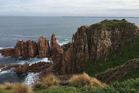 Half Day Phillip Island Woolamai Walking Tour - Attractions Melbourne 16