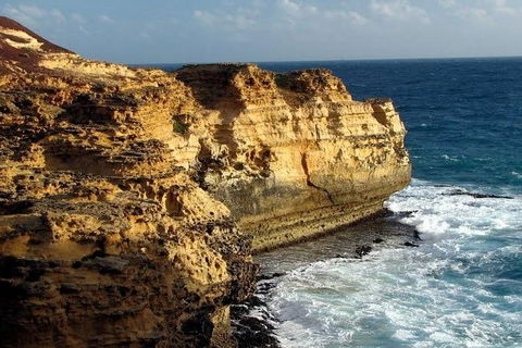 Half Day Phillip Island Woolamai Walking Tour - Attractions Melbourne 12