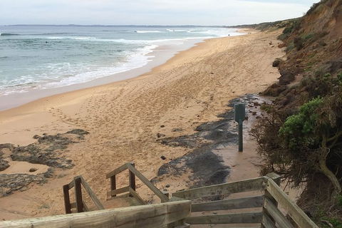 Half Day Phillip Island Woolamai Walking Tour - Attractions Melbourne 11
