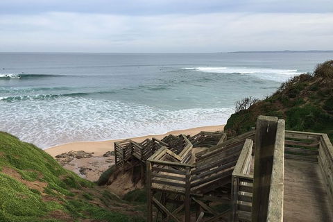 Half Day Phillip Island Woolamai Walking Tour - Attractions Melbourne 5