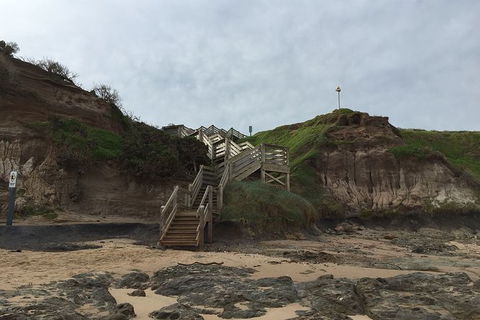 Half Day Phillip Island Woolamai Walking Tour - Attractions Melbourne 14